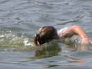 Swim 2.jpg (42607 bytes)